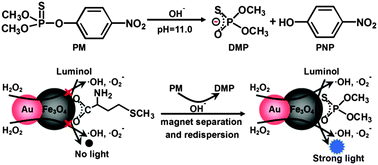 Graphical abstract: Ligand replacement induced chemiluminescence for selective detection of an organophosphorus pesticide using bifunctional Au–Fe3O4 dumbbell-like nanoparticles