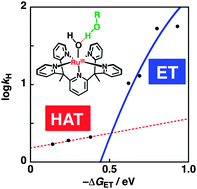 Graphical abstract: Reactivity of a Ru(iii)–hydroxo complex in substrate oxidation in water