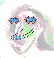 Graphical abstract: Toll-like receptor agonist lipopeptides self-assemble into distinct nanostructures