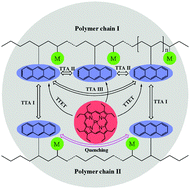 Graphical abstract: Triplet–triplet annihilation upconversion from rationally designed polymeric emitters with tunable inter-chromophore distances