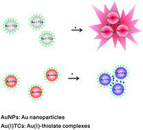 Graphical abstract: Visual detection of Ca2+ based on aggregation-induced emission of Au(i)–Cys complexes with superb selectivity