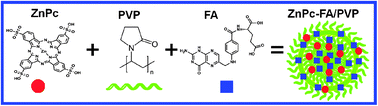 Graphical abstract: A monomeric photosensitizer for targeted cancer therapy