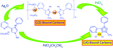 Graphical abstract: Chelation assistance as a tool for the selective preparation of an imidazole-based mesoionic palladium carbene complex