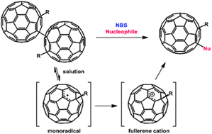 Graphical abstract: NBS-promoted oxidation of fullerene monoradicals leading to regioselective 1,4-difunctional fullerenes