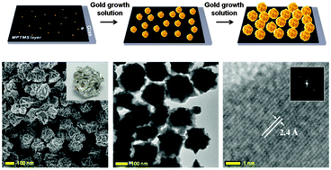 Graphical abstract: Solution based, on chip direct growth of three-dimensionally wrinkled gold nanoparticles for a SERS active substrate