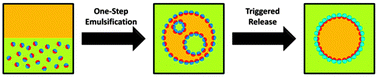 Graphical abstract: One-step encapsulation and triggered release based on Janus particle-stabilized multiple emulsions