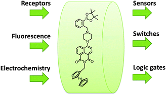 Graphical abstract: A redox-activated fluorescence switch based on a ferrocene–fluorophore–boronic ester conjugate