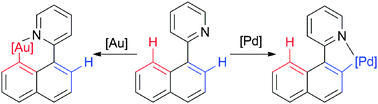 Graphical abstract: Metal controlled regioselectivity in the cyclometallation of 2-(1-naphthyl)-pyridine