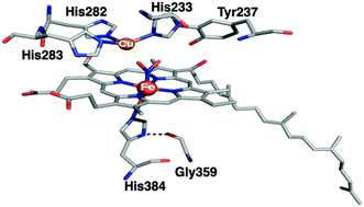 Graphical abstract: The structure of a ferrous heme-nitro species in the binuclear heme a3/CuB center of ba3-cytochrome c oxidase as determined by resonance Raman spectroscopy