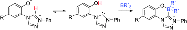 Graphical abstract: Mesomeric betaine – N-heterocyclic carbene interconversions of 1,2,4-triazolium-phenolates. Sulfur, selenium, and borane adduct formation