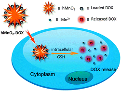 Graphical abstract: Redox-responsive degradable honeycomb manganese oxide nanostructures as effective nanocarriers for intracellular glutathione-triggered drug release