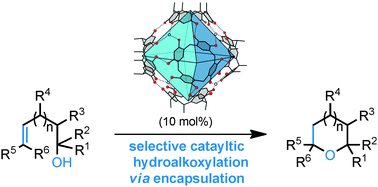 Graphical abstract: Intramolecular hydroalkoxylation catalyzed inside a self-assembled cavity of an enzyme-like host structure