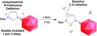 Graphical abstract: Synthesis of unsymmetrical N-carboranyl NHCs: directing effect of the carborane anion