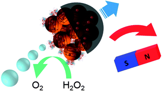 Graphical abstract: A bio-catalytically driven Janus mesoporous silica cluster motor with magnetic guidance