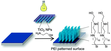 Graphical abstract: One-step synthesis of patterned polymer brushes by photocatalytic microcontact printing
