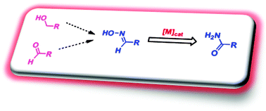 Graphical abstract: Catalytic synthesis of amides via aldoximes rearrangement