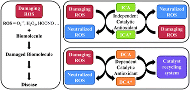 Graphical abstract: Catalytic antioxidant therapy by metallodrugs: lessons from metallocorroles