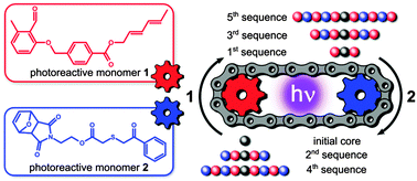 Graphical abstract: Photo-induced sequence defined macromolecules via hetero bifunctional synthons