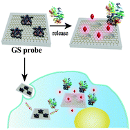 Graphical abstract: A fluorescent probe for detection of an intracellular prognostic indicator in early-stage cancer