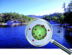 Graphical abstract: Virus-like particles as virus substitutes to design artificial virus-recognition nanomaterials