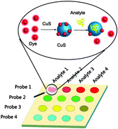 Graphical abstract: A CuS-based chemical tongue chip for pattern recognition of proteins and antibiotic-resistant bacteria