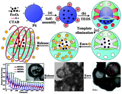Graphical abstract: One-step synthesis of magnetic hollow mesoporous silica (MHMS) nanospheres for drug delivery nanosystems via electrostatic self-assembly templated approach