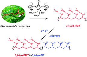 Graphical abstract: Isoselective 3,4-(co)polymerization of bio-renewable myrcene using NSN-ligated rare-earth metal precursor: an approach to a new elastomer