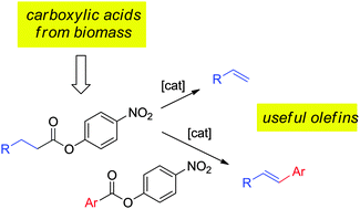 Graphical abstract: Olefins from biomass feedstocks: catalytic ester decarbonylation and tandem Heck-type coupling