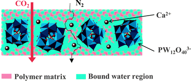 Graphical abstract: Trapping bound water within a polymer electrolyte membrane of calcium phosphotungstate for efficient CO2 capture