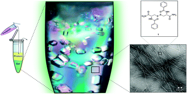 Graphical abstract: Influence of the chirality of short peptide supramolecular hydrogels in protein crystallogenesis