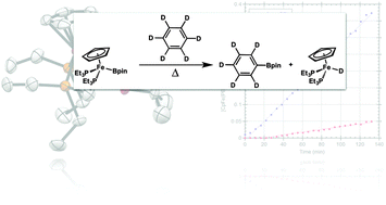 Graphical abstract: Thermal C–H borylation using a CO-free iron boryl complex