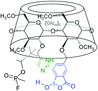 Graphical abstract: The first 2IB,3IA-heterodifunctionalized β-cyclodextrin derivatives as artificial enzymes