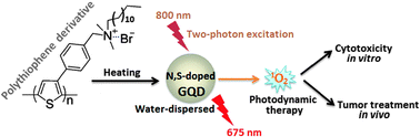 Graphical abstract: Retracted Article: N, S co-doped graphene quantum dots from a single source precursor used for photodynamic cancer therapy under two-photon excitation
