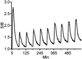 Graphical abstract: Nuclease-containing media for resettable operation of DNA logic gates