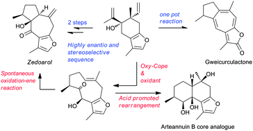 Graphical abstract: Divergent pathways to furosesquiterpenes: first total syntheses of (+)-zedoarol and (Rac)-gweicurculactone