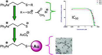 Graphical abstract: Triphenylarsonium-functionalised gold nanoparticles: potential nanocarriers for intracellular therapeutics