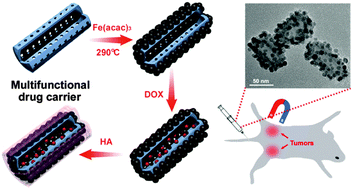 Graphical abstract: Multifunctional magnetic silica nanotubes for MR imaging and targeted drug delivery