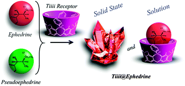 Graphical abstract: Chemoselective recognition with phosphonate cavitands: the ephedrine over pseudoephedrine case