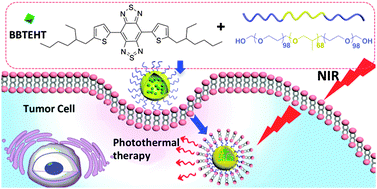 Graphical abstract: A narrow-bandgap benzobisthiadiazole derivative with high near-infrared photothermal conversion efficiency and robust photostability for cancer therapy