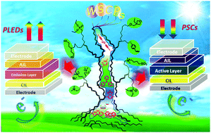 Graphical abstract: Water/alcohol soluble conjugated polymers for the interface engineering of highly efficient polymer light-emitting diodes and polymer solar cells