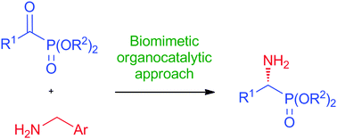 Graphical abstract: An organocatalytic biomimetic approach to α-aminophosphonates