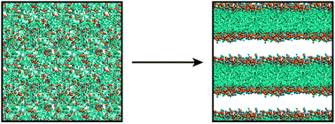 Graphical abstract: All-atom lipid bilayer self-assembly with the AMBER and CHARMM lipid force fields