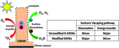 Graphical abstract: Quantitative analysis of photons' decaying pathways in Si nanowire arrays for highly efficient photoelectrochemical solar hydrogen generation