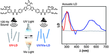Graphical abstract: Photochromism in sound-induced alignment of a diarylethene supramolecular nanofibre