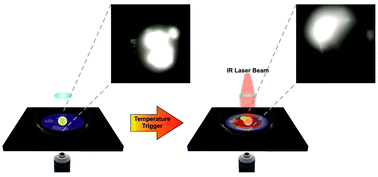 Graphical abstract: Infrared laser triggered release of bioactive compounds from single hard shell microcapsules