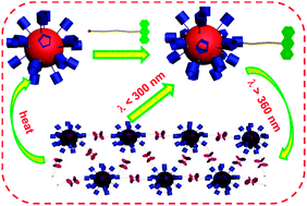 Graphical abstract: Photo-responsive reversible assembly of gold nanoparticles coated with pillar[5]arenes