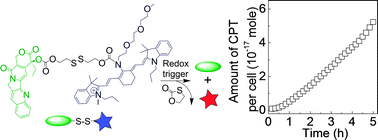 Graphical abstract: Non-invasive, real-time reporting drug release in vitro and in vivo