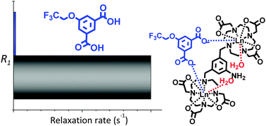 Graphical abstract: Ligation driven 19F relaxation enhancement in self-assembled Ln(iii) complexes