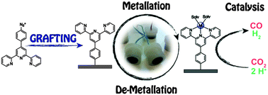 Graphical abstract: Versatile functionalization of carbon electrodes with a polypyridine ligand: metallation and electrocatalytic H+ and CO2 reduction