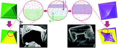 Graphical abstract: Single crystalline hollow metal–organic frameworks: a metal–organic polyhedron single crystal as a sacrificial template